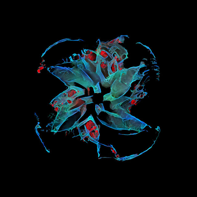 Biota